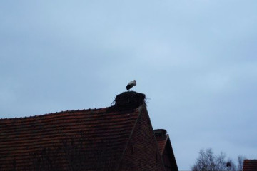 24 Storchendorf Ruehstaedt